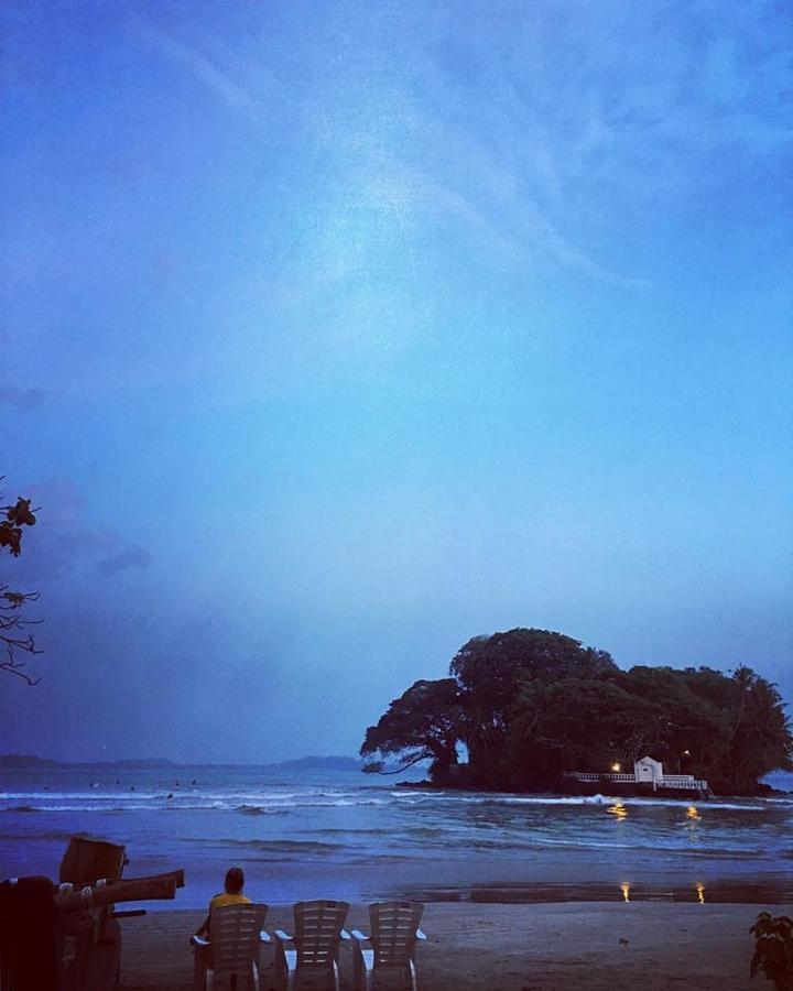 Soul Surfer - Weligama Vandrarhem Exteriör bild